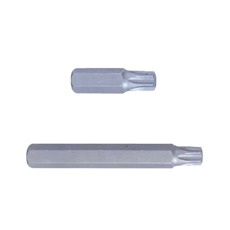 Бита торцевая 10мм TORX T60 L=80мм (уп.6)