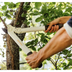 Сучкорез плоскостной FISKARS White L32 (1026930)